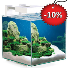 Ενυδρείο με σχήμα κύβου χωρητικότητας 14L - Ciano Nexus Pure 15 (25*25*31.5cm) enidreio-tetragwno-fwtismos-led-ciano-nexus-pure-15led-25*25*31.5cm